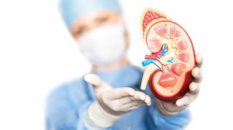enfermedad renal